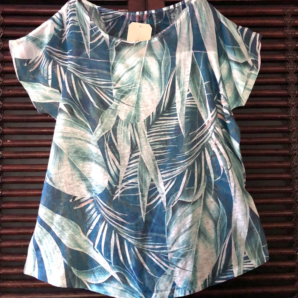 NWT 1X SJS Gorgeous Palms Green Dolman Top